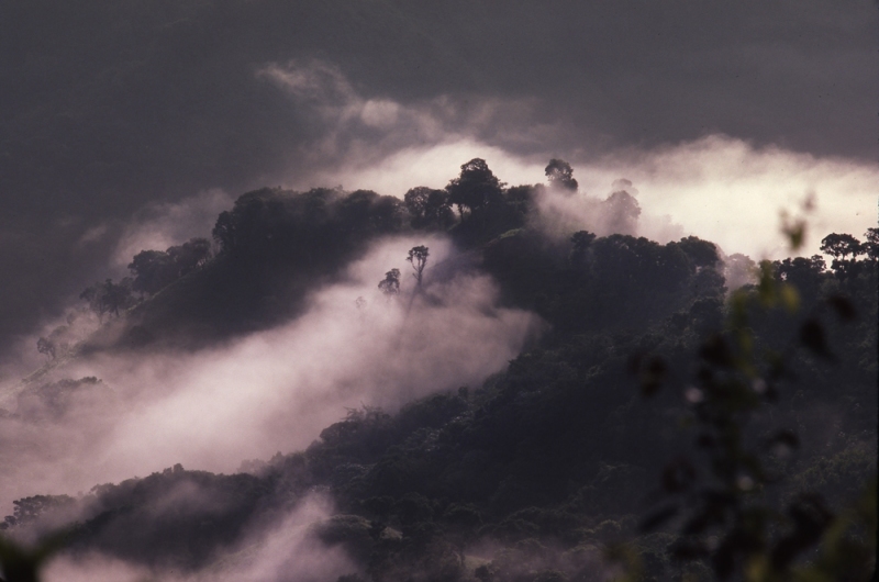 ILAC_Dominican-Republic01