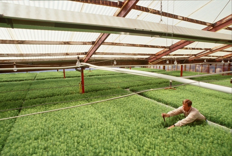 industrial-portraits04