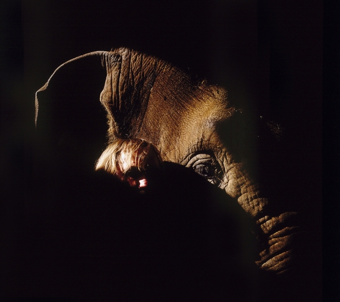 industrial-portraits19